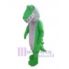 Crocodile costume de mascotte