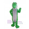 Crocodile costume de mascotte