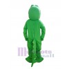 Crocodile costume de mascotte