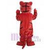 Tigre costume de mascotte