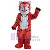 Tigre costume de mascotte