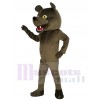 Ours costume de mascotte