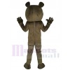 Ours costume de mascotte