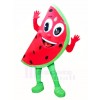 Pastèque Costume de mascotte