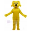 Chien costume de mascotte