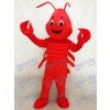 rouge Homard Costume de mascotte Mer
