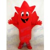 rouge feuille d'érable Costume de mascotte