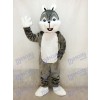 Costume de mascotte de chien husky gris mignon