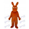 Petit Costume de Mascotte de Kangourou Animal