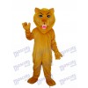 Costume adulte mascotte lion marron vieux