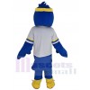 Fauconnerie costume de mascotte