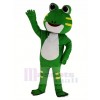 Mignonne vert Grenouille Mascotte Costume