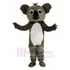 Petit gris Koala Mascotte Costume Dessin animé