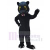 Panthère costume de mascotte