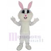 Lapin de Pâques costume de mascotte