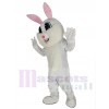 Lapin de Pâques costume de mascotte