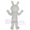 Lapin de Pâques costume de mascotte