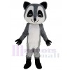 Raton Laveur costume de mascotte