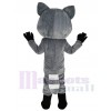 Raton Laveur costume de mascotte