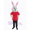 Lapin de Pâques costume de mascotte