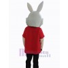 Lapin de Pâques costume de mascotte