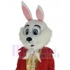 Wendell Lapin costume de mascotte