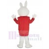 Wendell Lapin costume de mascotte