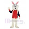 Colonel Wendell Lapin Mascotte Costume Animal