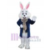 Lapin de Pâques costume de mascotte