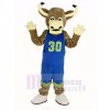 Texas Longhorns Taureau dans Bleu Vêtements de sport Mascotte Costume