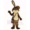 marron Pâques lapin Mascotte Costume