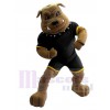 Bouledogue costume de mascotte