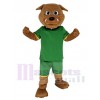 Bouledogue mascotte costume