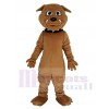 Bouledogue mascotte costume