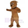 Bouledogue mascotte costume