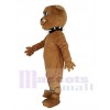 Bouledogue mascotte costume