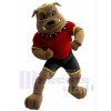Bouledogue costume de mascotte