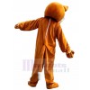 Renard costume de mascotte