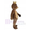 Ours costume de mascotte