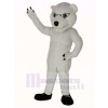 Muscle Polaire Ours Mascotte Costume Animal