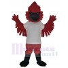 Cardinal costume de mascotte