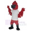 Cardinal costume de mascotte