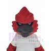 Cardinal costume de mascotte