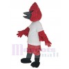 Cardinal costume de mascotte