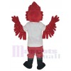 Cardinal costume de mascotte