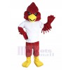 Cardinal costume de mascotte