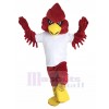 Cardinal costume de mascotte