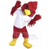 Cardinal costume de mascotte