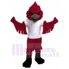 Cardinal maskottchen kostüm