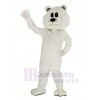 Mignonne blanc Ours Mascotte Costume Adulte